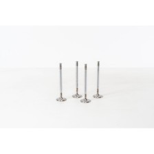 Fiesta 1.4 16V  ASDA - Valvula MEC