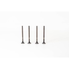 FIESTA 1.2 16V C2 M7JA/B FUJA EX - Valvula MEC