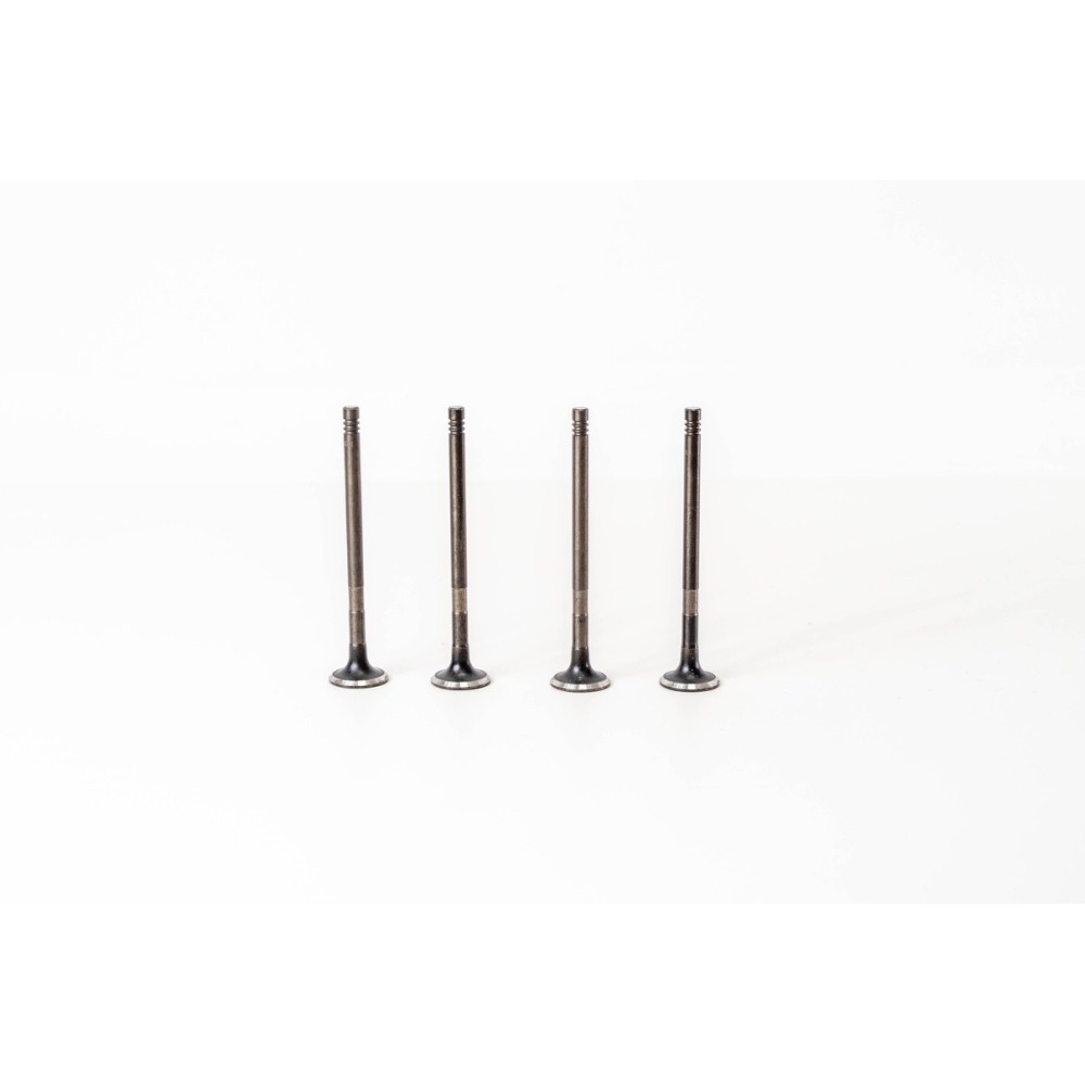 FIESTA 1.2 16V C2 M7JA/B FUJA EX - Valvula MEC