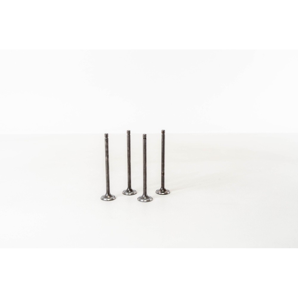 1.0/1.2/1.4 16V CR10/12/14DE  MICRA - Valvula MEC