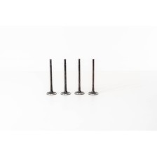 D5244T - C30/S60/S80/V70/XC70 2.4D - Valvula MEC