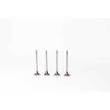 D5244T - C30/S60/S80/V70/XC70 2.4D - Valvula MEC