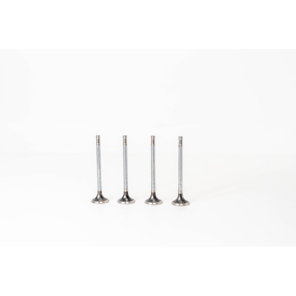 D5244T - C30/S60/S80/V70/XC70 2.4D - Valvula MEC