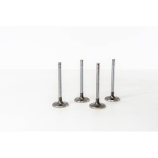 205-309 GTI     1 GOLA - Valvula MEC