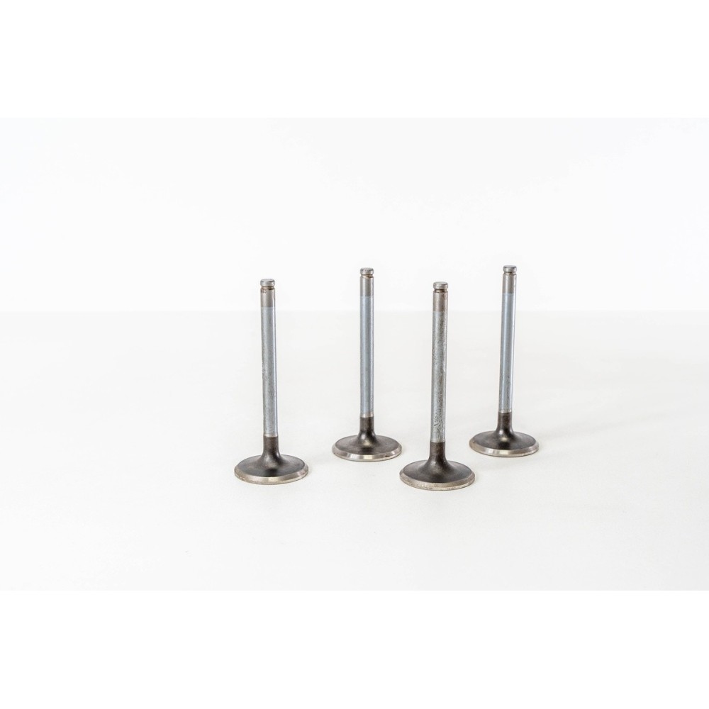 205-309 GTI     1 GOLA - Valvula MEC