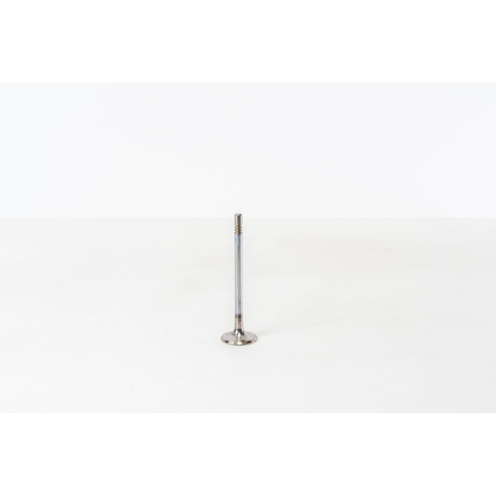 BVN/CASB/CCMA - A4/Q5/TOUAREG - Valvula MEC