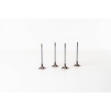 Z20DM/DMH - ANTARA/CAPTIVA 2.0 - Valvula MEC