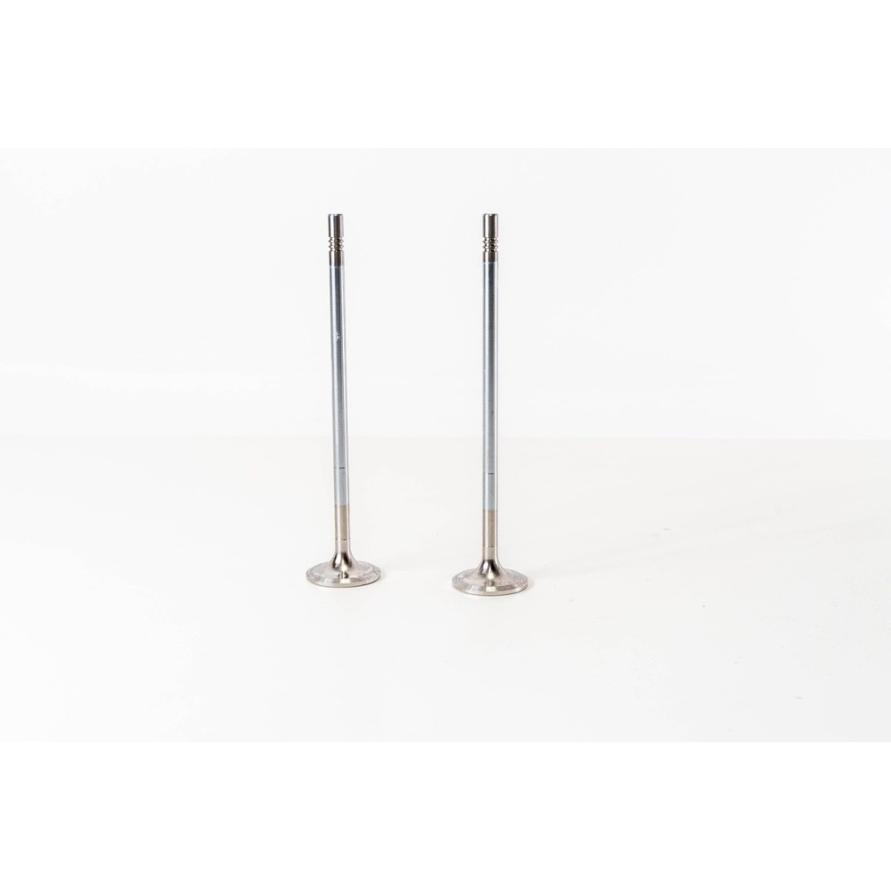 D11C330/370 - FM/FMX - Valvula MEC