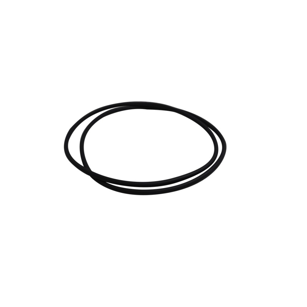 D 2676 - TGA/TGS EURO4 - O-RING