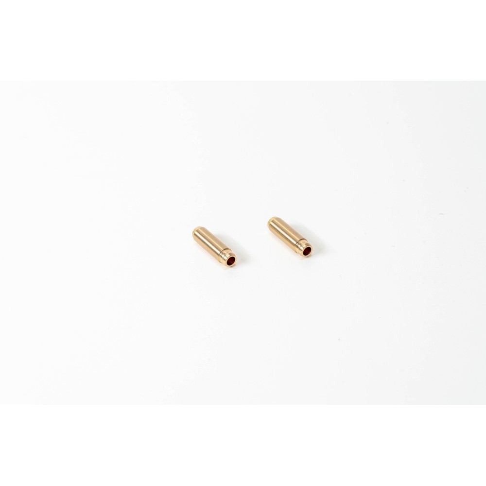 A4/A6/A8 BAU D10,06/5,98 L36B - Guia valvula