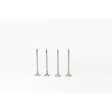 QASHQAI 1.6 16V HR16DE GPL - Valvula MEC