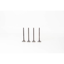 PUNTO 1,2   GAS - Valvula MEC