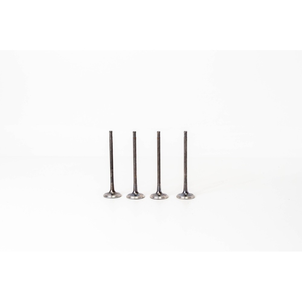 PUNTO 1,2   GAS - Valvula MEC