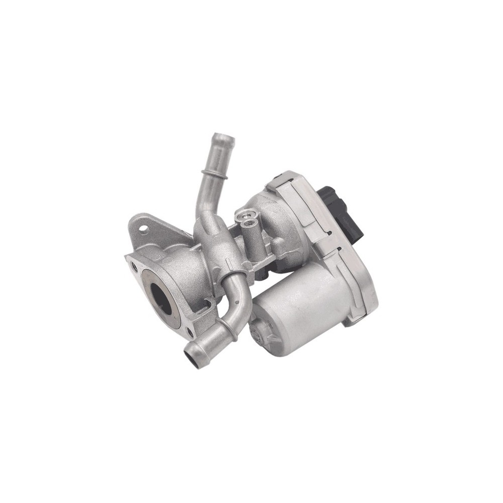 TRANSIT 2.2 TDCI - SRFA/PGFA/SAFA - EGR