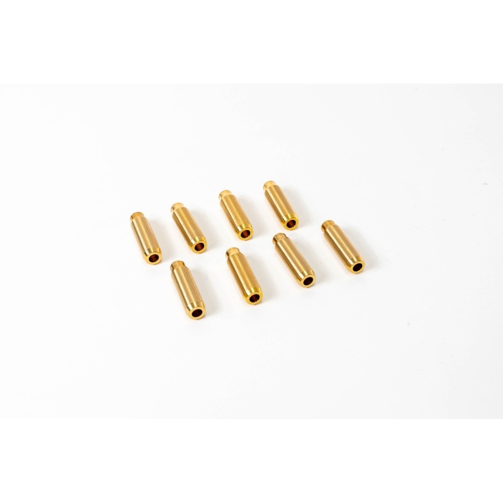 307 1.6 16V D11,12/6/40 MAG B - Guia valvula