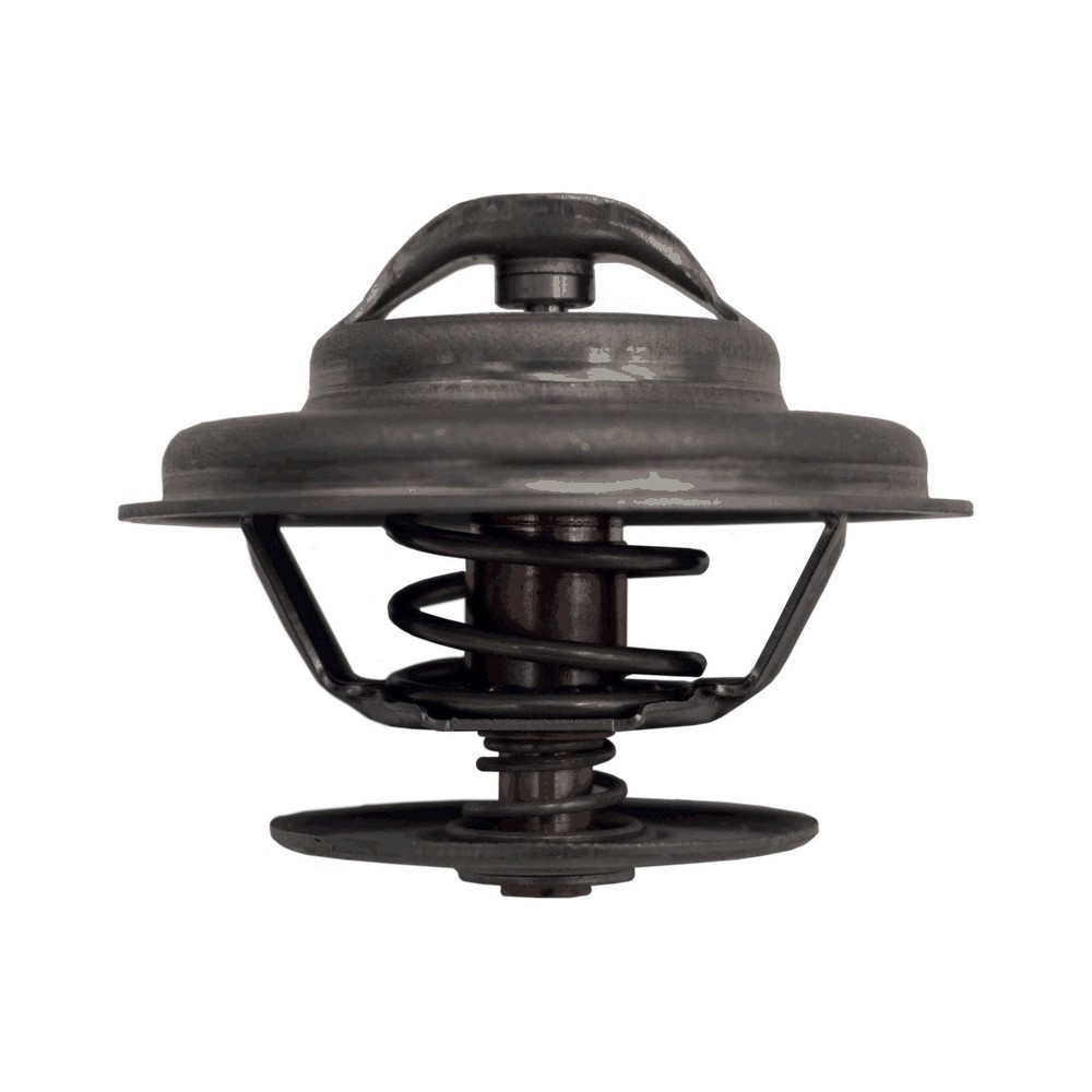 CITARO/ATEGO - OM 906 - TERMOSTATO