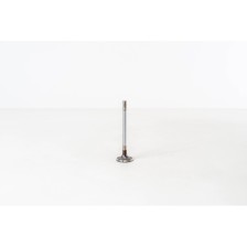 4HL/4HT/4HP/224DT - C5/C6/C8/S-MAX - Valvula MEC