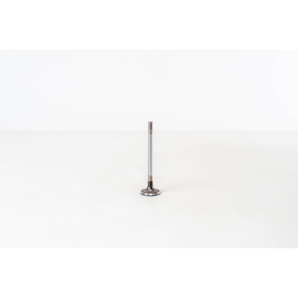 4HL/4HT/4HP/224DT - C5/C6/C8/S-MAX - Valvula MEC