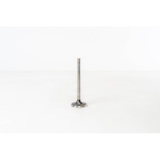 PICK-UP 2.5 TD - TD25 55/61KW - Valvula MEC