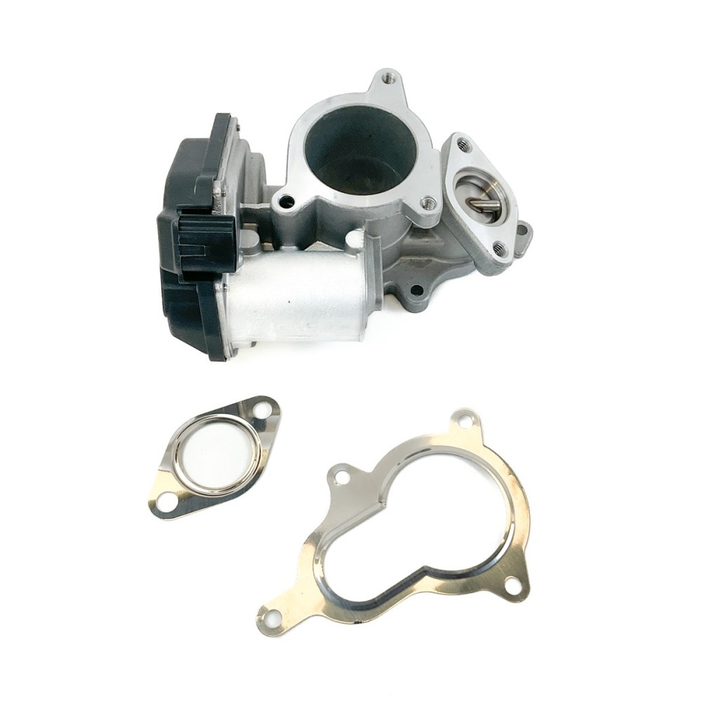 A4 2.0 TDI - BVA/BVF/BVG - EGR