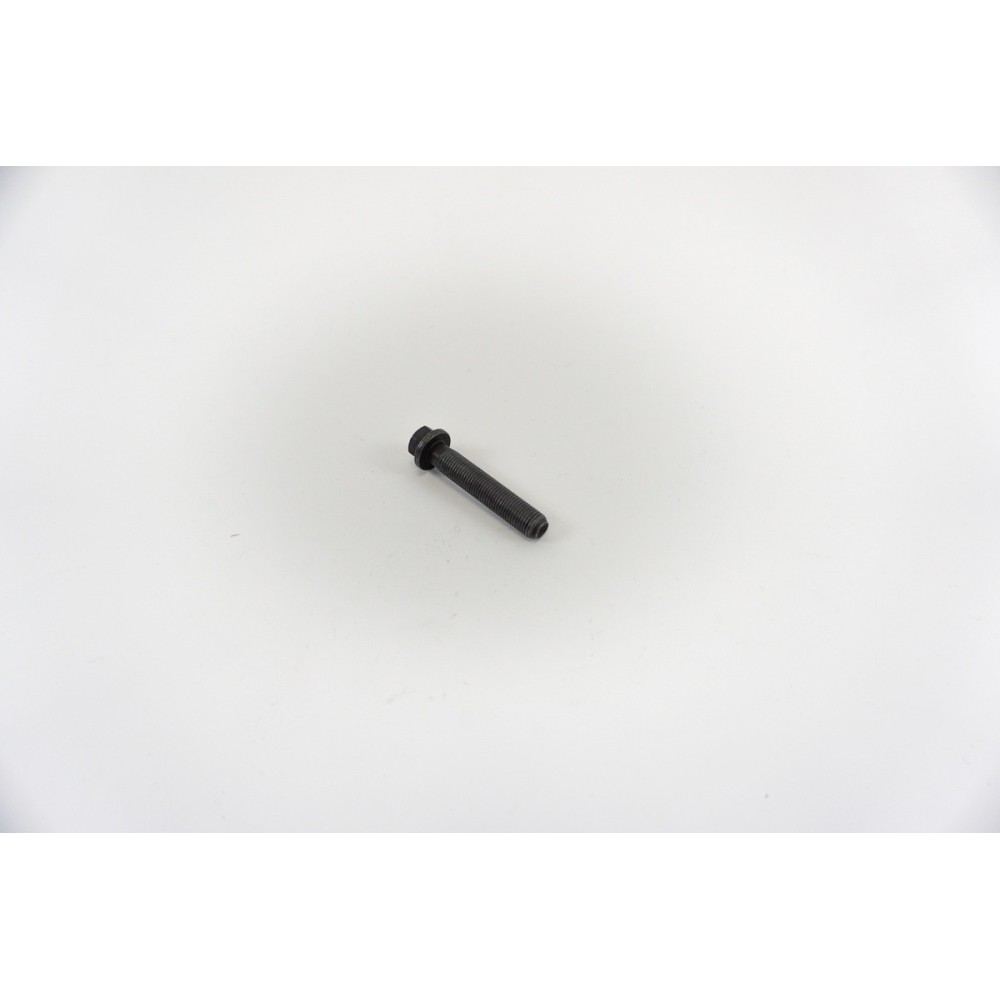 F1AFL411/F1AGL411 - DAILY/DUCA - Tornillo de biela