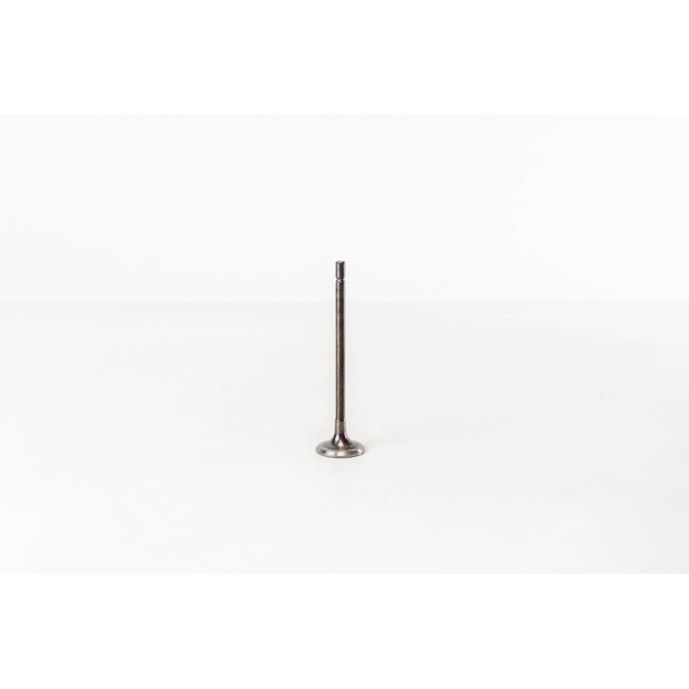 CLIO - MEGANE 16V  GAS - Valvula MEC