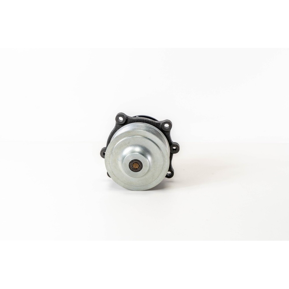F2CFE611A - STRALIS/TRAKKER E6 - Bomba de agua
