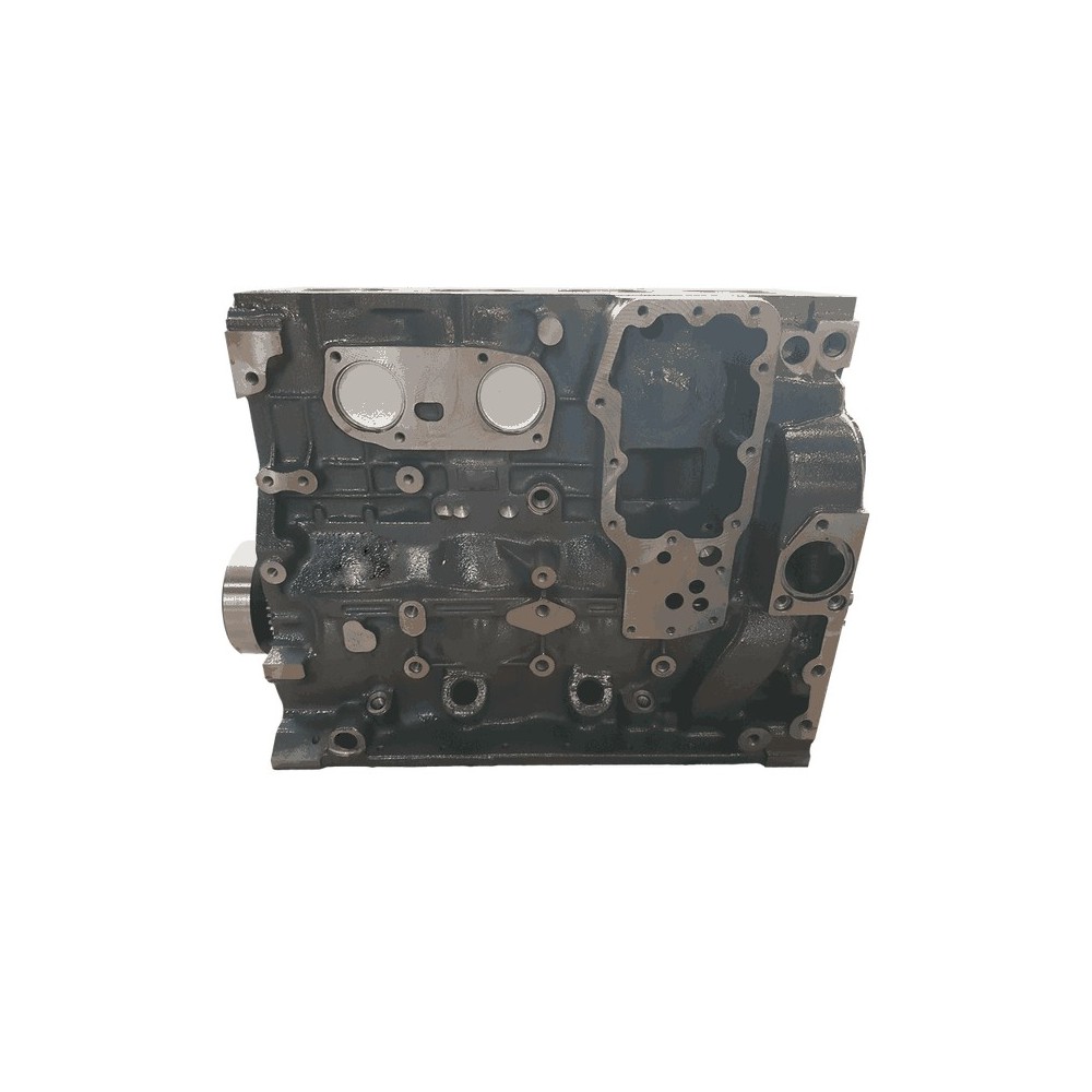 F4AFE411A/B/C - TECTOR EURO 6 4 CYL - Motor aligerado