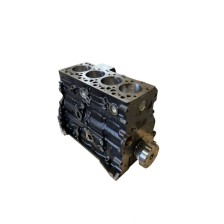 F4AFE411E/F - TECTOR EURO 6   4 CYL - Motor aligerado