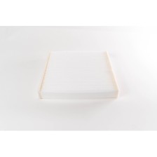 FILTRO ANTIPOLLINE DAILY 2.3 HPI - Filtro Aire OE