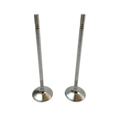 INLET VALVE (2) OPEL/GM - Valvula MEC