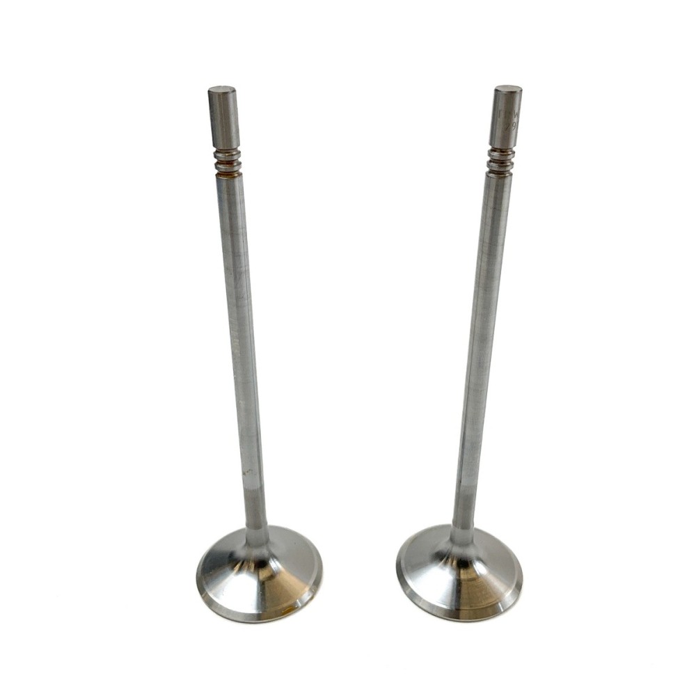 INLET VALVE (2) OPEL/GM - Valvula MEC