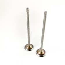 INLET VALVE (2) VW/AUDI/SEAT/SKODA - Valvula MEC