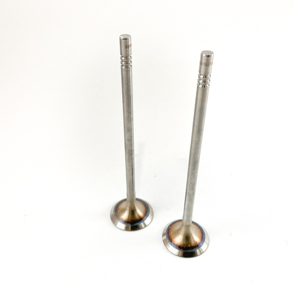 INLET VALVE (2) VW/AUDI/SEAT/SKODA - Valvula MEC