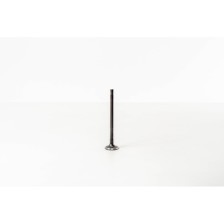 ASDA/FYDA/HWDA - FIESTA/FOCUS 1.6 - Valvula MEC