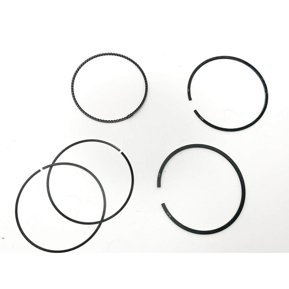 N12/13/14/18 B16 - 1/3 (1,2-1,5-2) - Segmentos MEC