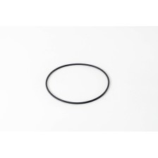 F3GFE611A/B/D/E/F/G - STRALIS - O-RING
