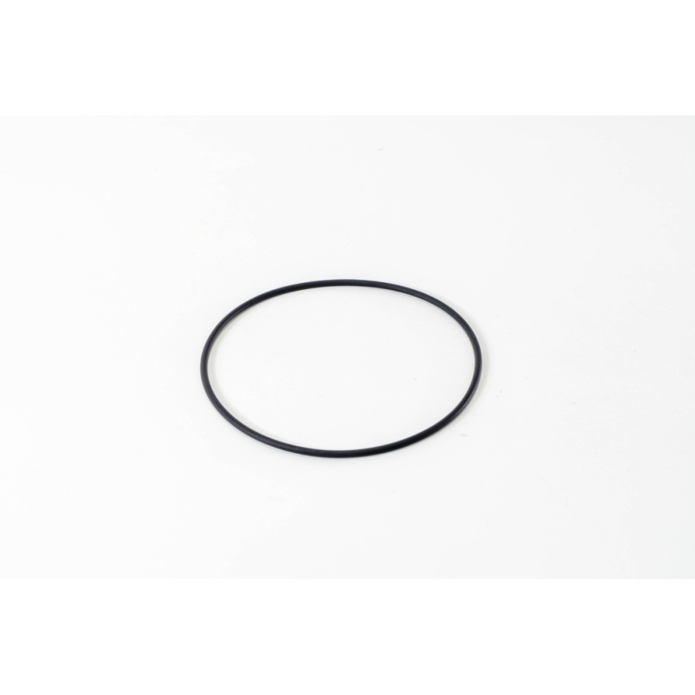 F3GFE611A/B/D/E/F/G - STRALIS - O-RING