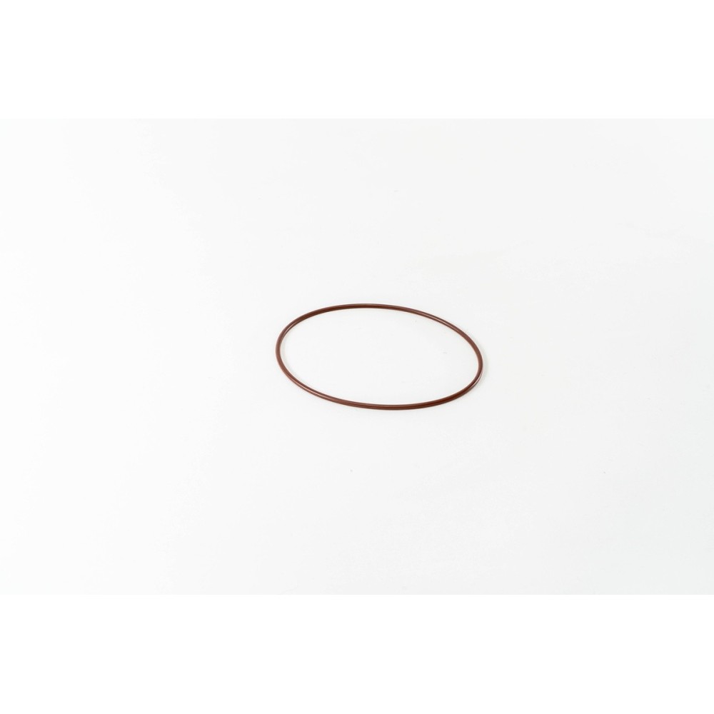 F3GFE611A/B/D/E/F/G - STRALIS - O-RING
