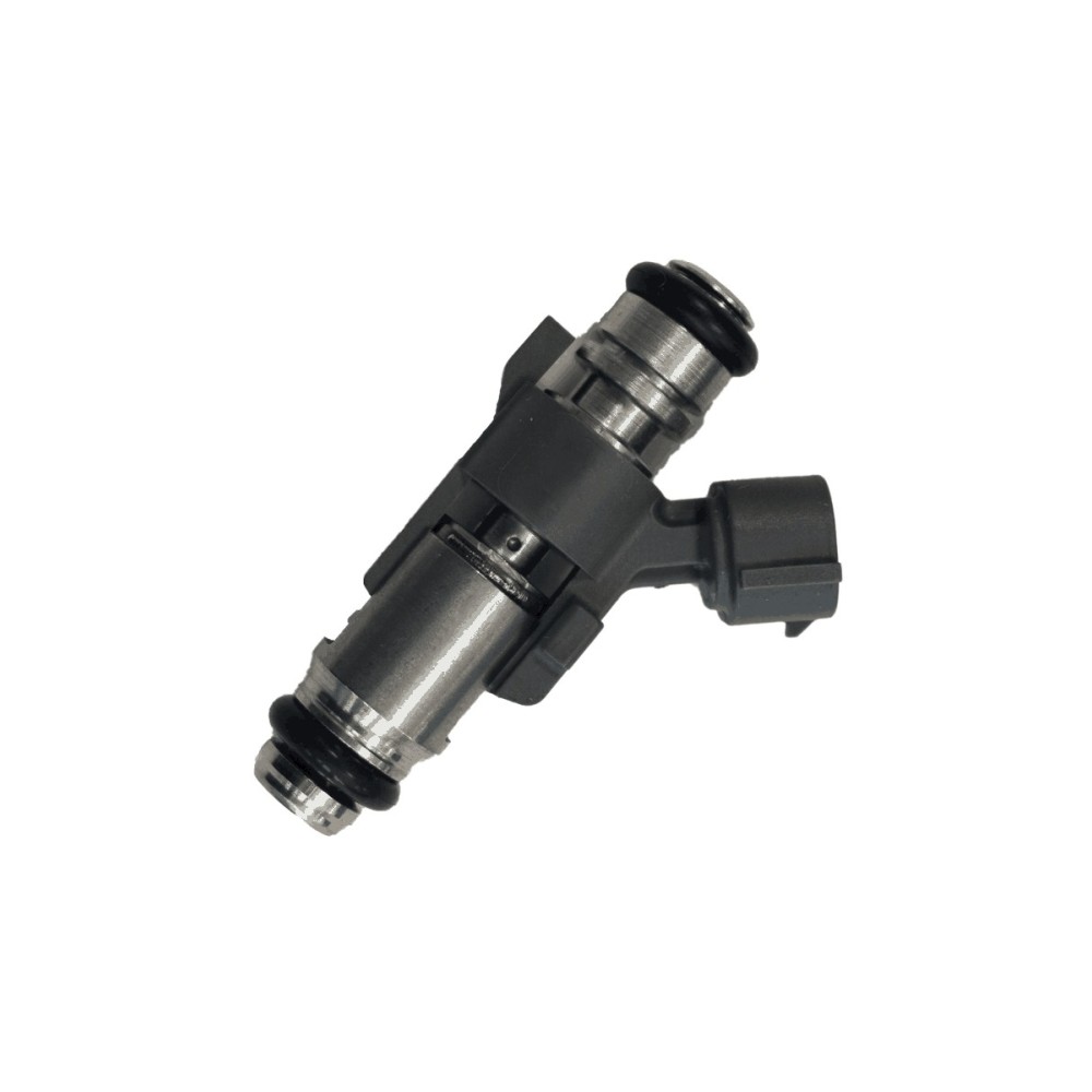 F1CE0441A/F1CFA401A - DAILY/DUCATO - Inyeccion