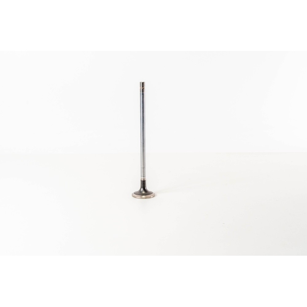 F3GFE611 - CURSOR 11 - STRALIS - Valvula OE