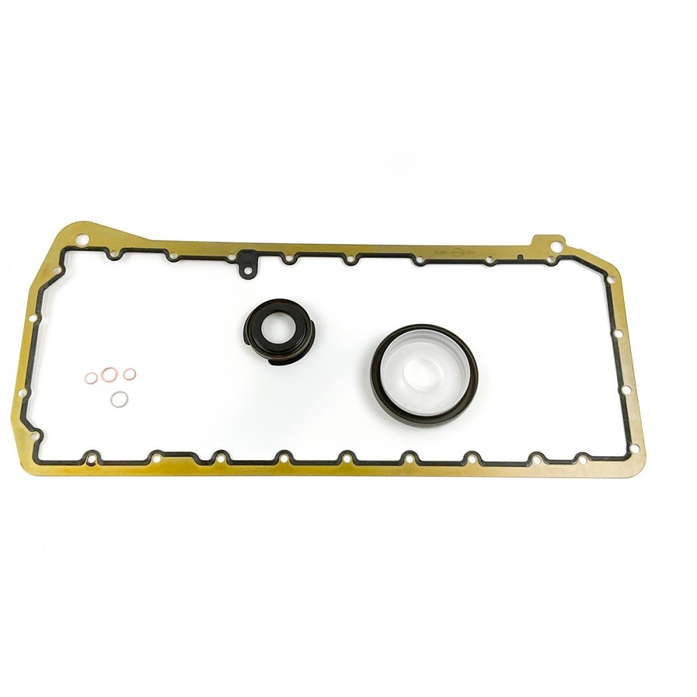 BMW M57D25/M57D30 - Juegos suplementarios conversion