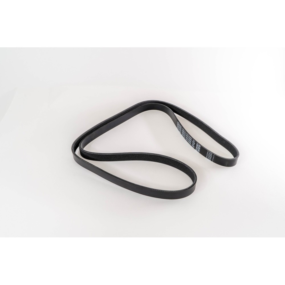 147/156/MAREA/LYBRA/GT - CORREA DAYCO