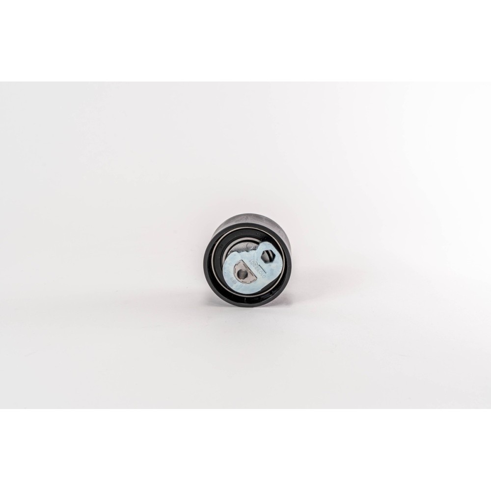 F1AE0481/3481 - DAILY/DUCATO - Tensor Correa