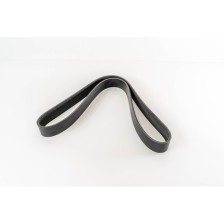 DXI 11/D11 - PREMIUM 2/FM / 10 PINS - CORREA DAYCO