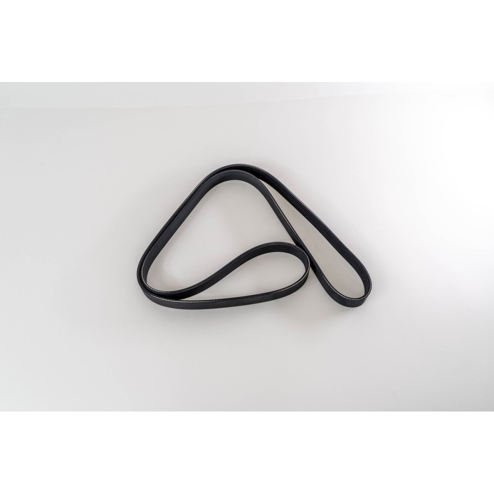 CYFA/B/C/D 2,2 TDCI - TRANSIT - CORREA DAYCO