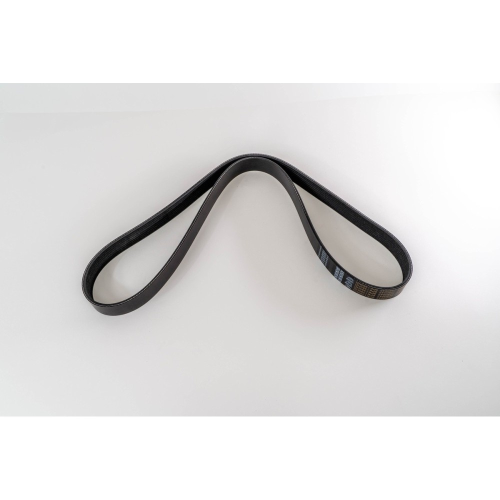 POLY RIB BELT 8PK1380HD - CORREA DAYCO