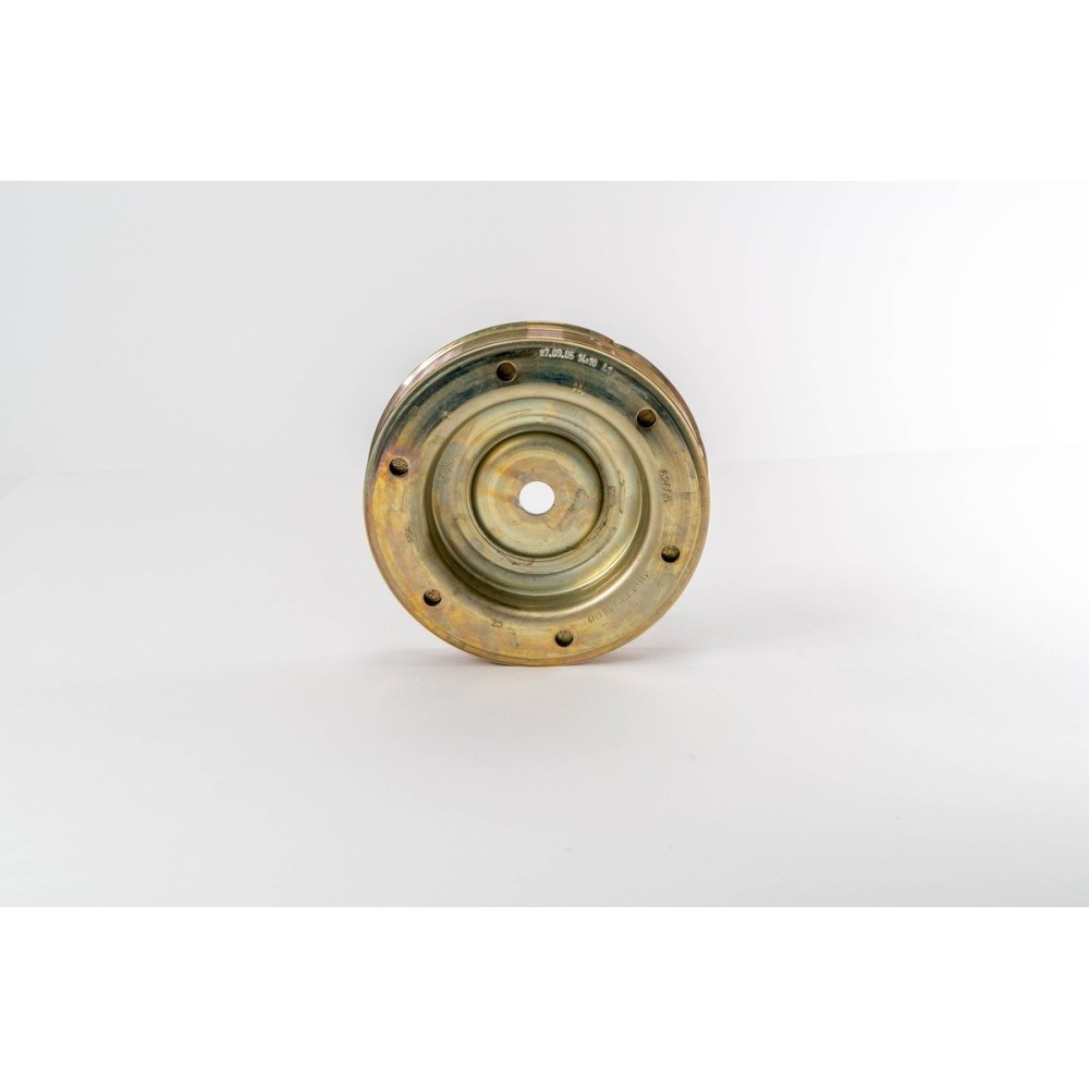 FORD/FIAT/PSA - AMORTIGUADOR/POLEA