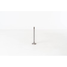 3 (E92)/335D 3.0 24V/M57 D30 TU2 - Valvula MEC