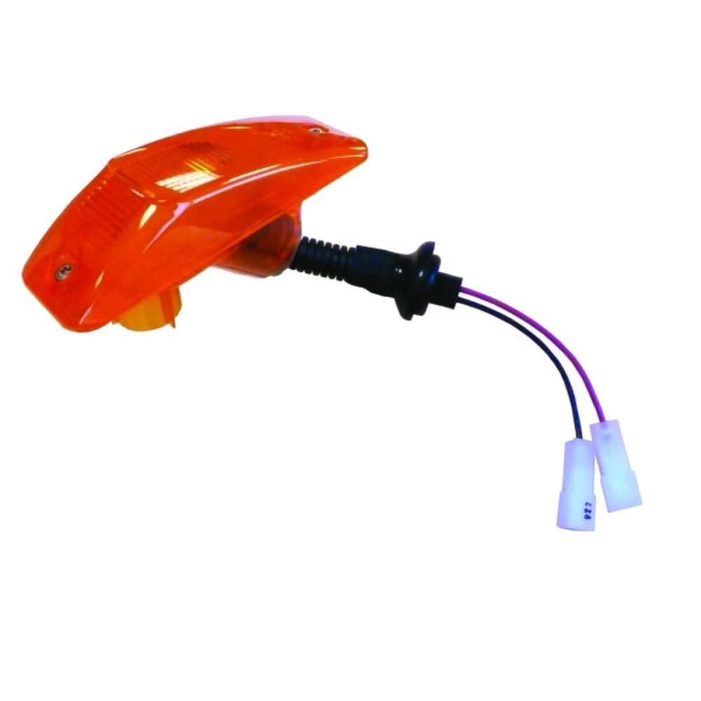 INDICATORE LATERALE DAF - LIGHTING DIVISION